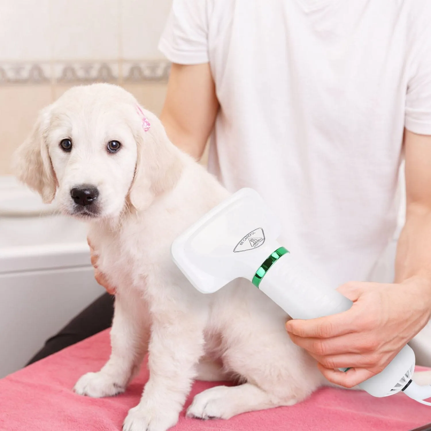 2-in-1 Multifunctional Pet Grooming Hair Dryer